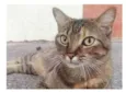 JULLY