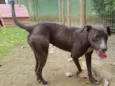Kika