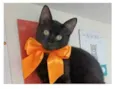 DALILA