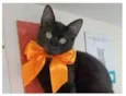 DALILA
