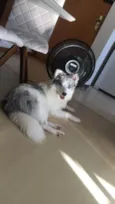 Argos