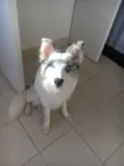 Argos