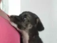 Sem nome