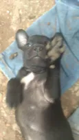 Não tem nome