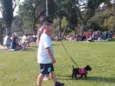 sapeca