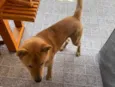 Bob