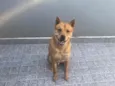 Bob