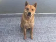 Bob