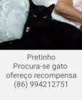 Pretinho