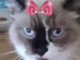 Nina 