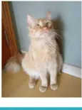 BEN