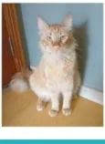 BEN