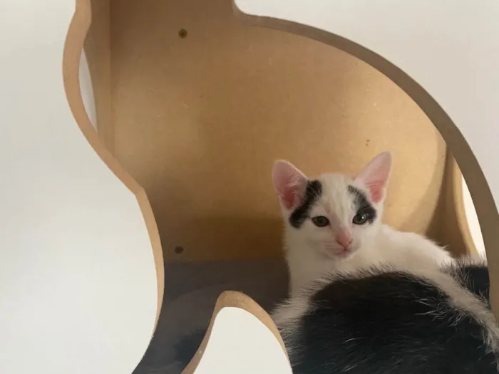 Pacotinho de alegria