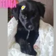 Leo,Pitty,Sky