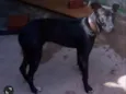 Pit