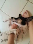 Dora