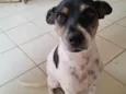 Dora