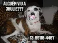 Jhulie Menezes