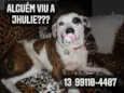 Jhulie Menezes