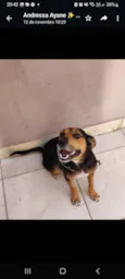 Mônica 