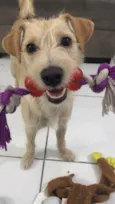 Maya