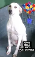 Ana Bella