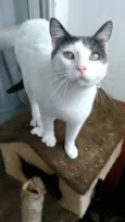 John