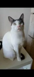 John