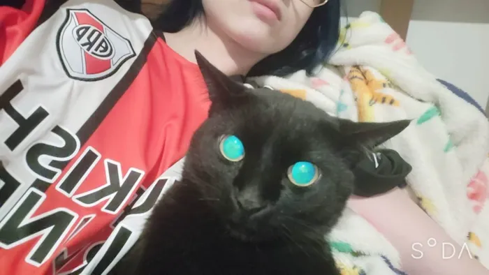 Gato ra a Vira Lata idade 5 anos nome Luis