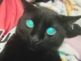 Luis