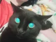 Luis