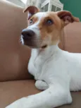 Márcio