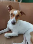 Márcio