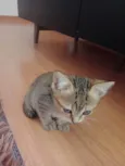 Melzinho