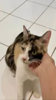 Juma Fiv +