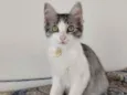SOL