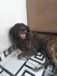 Tolby
