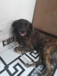Tolby