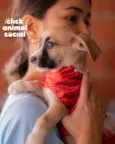 PEROLA