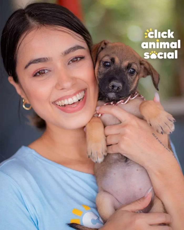 Cachorro ra a SRD (SEM RAÇA DEFINIDA) idade 2 a 6 meses nome PANDORA