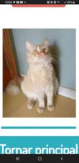 BEN