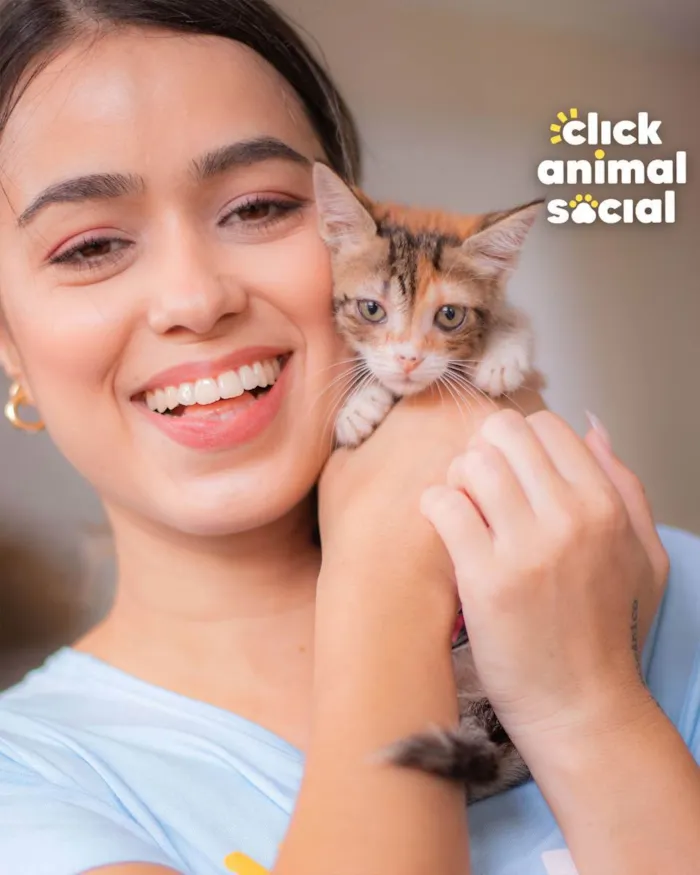 Gato ra a SRD (SEM RAÇA DEFINIDA) idade Abaixo de 2 meses nome VENUS