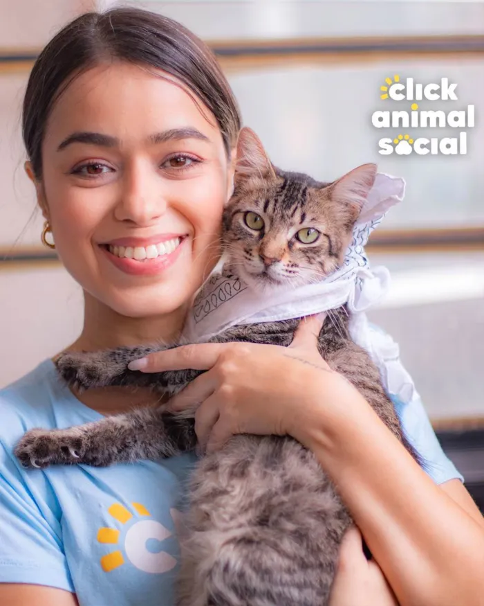 Gato raça SRD (SEM RAÇA DEFINIDA) idade 2 a 6 meses nome GANDHI