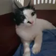 Menina linda