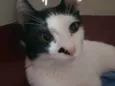 Menina linda