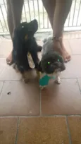 Baby e Sushi
