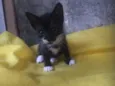 Não definido