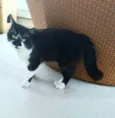 Tony