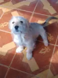 Jully