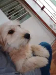 Jully